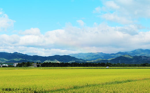 新潟県聖籠産【有機米】コシヒカリ10kg（5kg×2袋）