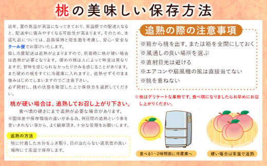 【先行予約】和歌山の 桃 秀選品 約 2kg 1箱 厳選館【配送不可地域あり】《2025年6月末-8月下旬出荷》和歌山県 日高川町 果物 フルーツ 桃 もも