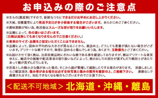 【先行予約】和歌山の 桃 秀選品 約 2kg 1箱 厳選館【配送不可地域あり】《2025年6月末-8月下旬出荷》和歌山県 日高川町 果物 フルーツ 桃 もも