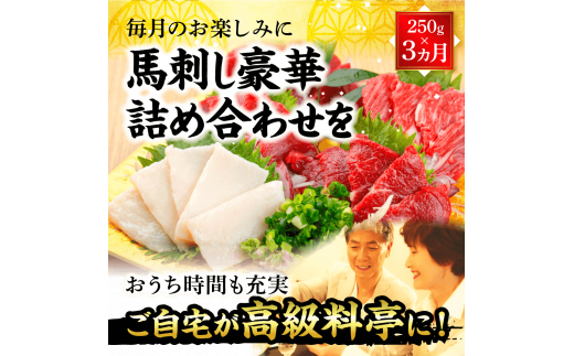 【美味しくてヘルシー！】熊本肥育熊本馬刺し 高級部位 食べ合わせ 250g 定期便 3ヵ月 上赤身 霜降り たてがみ 馬ヒレ 専用醬油付き 【熊本と畜】送料無料 馬刺し 馬肉 お中元 プレゼント ギフト お歳暮 お土産 お祝い 熊本 九州 美里町 