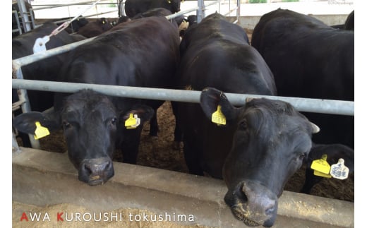 訳あり 牛肉 切り落とし 牛上中肉 700g×4パック 計2.8kg【阿波黒牛のみ使用】[北島藤原精肉店 徳島県 北島町 29al0010] わけあり 黒毛和牛 肉 牛 お肉 スライス 肉じゃが すき焼き