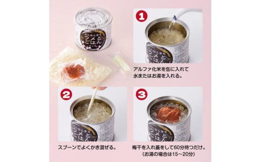 どんなときも梅とご飯 ウメ缶 24缶セット 非常食 保存食 備蓄 非常食セット 防災グッズ 防災 アウトドア キャンプ 缶詰 紀州南高梅 梅干し アルファ米 ご飯 和歌山県 白浜町 ふるさと納税 5年保存