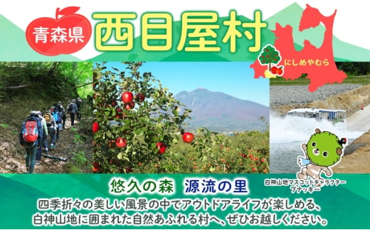 【2月発送】 贈答用 サンふじ 約3kg りんご 林檎 リンゴ 果物 フルーツ くだもの 旬 青森県産 お取り寄せ 贈り物 プレゼント 人気 東北 名産 常温 産地直送 送料無料 青森県 西目屋村