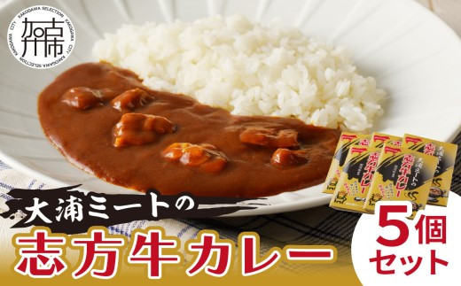 ★選べる配送月★ [12月発送] 大浦ミートの志方牛カレー 5個セット〈おすすめ カレー 人気 美味しい レトルト 牛肉 ビーフカレー セット 詰め合わせ お取り寄せ グルメ 送料無料〉【2400I00212-00】