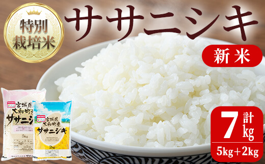 【令和6年産新米】特別栽培米 ササニシキ 7kg お米 おこめ 米 コメ 白米 ご飯 ごはん おにぎり お弁当【農事組合法人若木の里】ta238