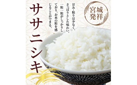 【令和6年産新米】特別栽培米 ササニシキ 7kg お米 おこめ 米 コメ 白米 ご飯 ごはん おにぎり お弁当【農事組合法人若木の里】ta238