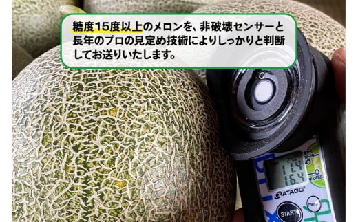 メロン [タカミ] [ユウカ] 5個セット｜青森産 産直 2024年産 令和6年 夏 めろん 果物 フルーツ 旬 特産 藤農園 農福連携 [0624]