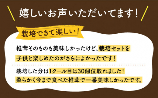 【全12回定期便】平戸有機きのこ栽培セット詰合せ 【きのこ屋】 [KAD287]