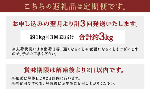 長崎県産 本マグロ「中トロ」