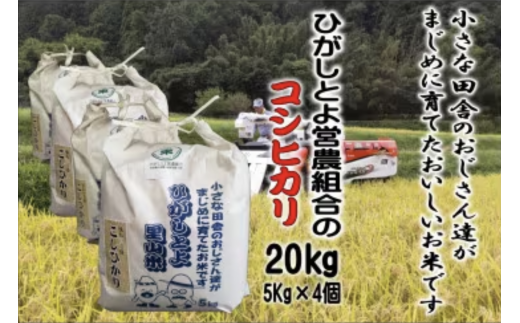 9月発送予約 小さな田舎のおじさんたちが真面目に作ったお米 ひがしとよ里山米２０㎏（５㎏×４袋）