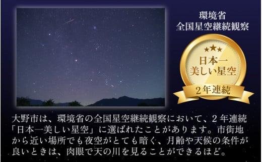 【令和6年産 新米】【12ヶ月定期便】星降るまち 越前大野の「満天コシヒカリ」白米 10kg (5kg×2袋) ×12回 計 120kg 小分け 農薬・化学肥料50%以上カットの特別栽培米 農家直送 単一原料米 大野市