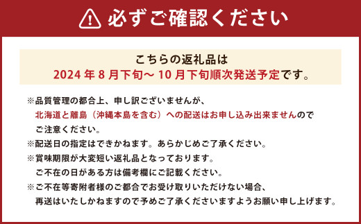 福岡県ブランドいちじく「博多とよみつひめ」4パック【2024年8月下旬～10月下旬発送予定】