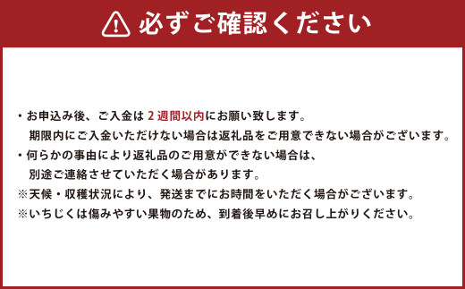 福岡県ブランドいちじく「博多とよみつひめ」4パック【2024年8月下旬～10月下旬発送予定】