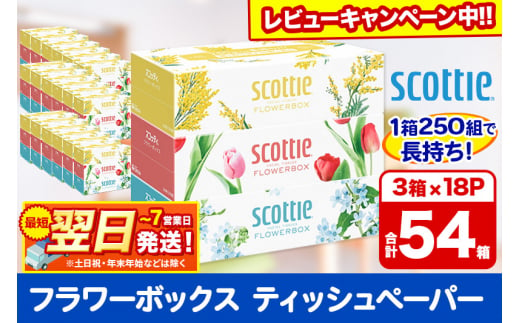 ティッシュペーパー スコッティ フラワーボックス250組 54箱(3箱×18パック)  日用品 最短翌日発送【レビューキャンペーン中】