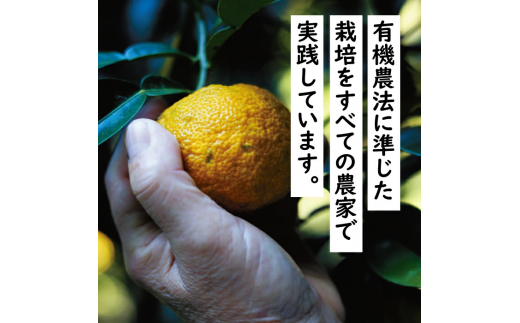 【年内発送】 馬路村ポン酢2本組（ゆずの村・1000人の村） 調味料 鍋 柚子 ドレッシング 有機 オーガニック 水炊き ギフト お歳暮 お中元 のし 熨斗 産地直送 高知県馬路村【687】