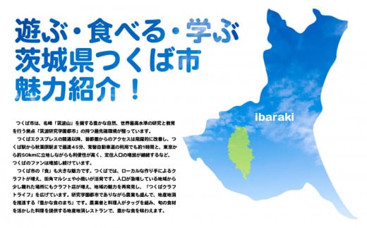 プレミアム有機青汁100g×30 パック＜離島・沖縄配送不可＞ | 茨城県 つくば市 飲料 ドリンク あおじる 健康  無添加 有機 オーガニック 