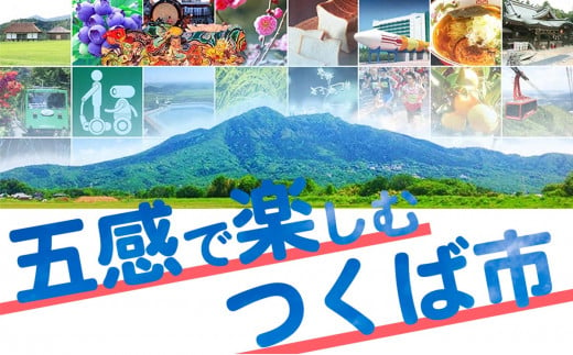 プレミアム有機青汁100g×30 パック＜離島・沖縄配送不可＞ | 茨城県 つくば市 飲料 ドリンク あおじる 健康  無添加 有機 オーガニック 