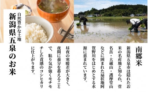 【令和6年産新米】 〈12回定期便〉 特別栽培米コシヒカリ 「南郷米」 玄米5kg（5kg×1袋）新潟県 五泉市 有限会社ファームみなみの郷