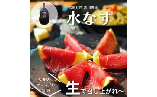 ＜産地直送＞古川農園　「水なす」そのまま食べられる生野菜でお届け!2個入×10袋【1484515】