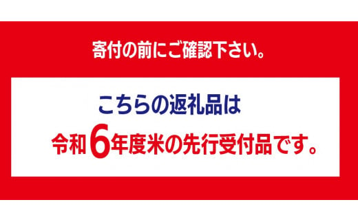 【先行受付】令和６年度産ゆめぴりか１０kg【A60102】