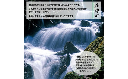 【先行受付】令和６年度産ゆめぴりか１０kg【A60102】