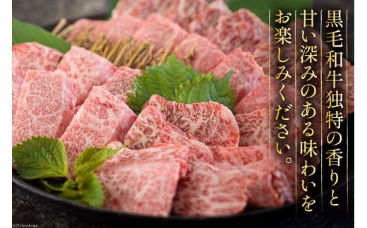 黒毛和牛 特選 カルビ 焼肉 500g [アグリ産業匠泰 宮崎県 美郷町 31be0024] 牛肉 炒め BBQ バーベキュー キャンプ 普段使い 調理 おかず 料理 国産 送料無料 パック 厳選 カルビ丼 クッパ 焼肉丼 スープ チャーハン 生春巻き マリネ 照り焼き 甘辛炒め チンジャオロース 青椒肉絲