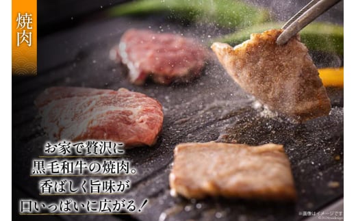 黒毛和牛 特選 カルビ 焼肉 500g [アグリ産業匠泰 宮崎県 美郷町 31be0024] 牛肉 炒め BBQ バーベキュー キャンプ 普段使い 調理 おかず 料理 国産 送料無料 パック 厳選 カルビ丼 クッパ 焼肉丼 スープ チャーハン 生春巻き マリネ 照り焼き 甘辛炒め チンジャオロース 青椒肉絲