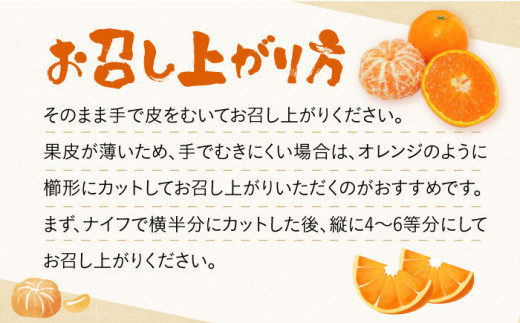 【数量限定】原口みかん 10kg 長崎県/長崎ダイヤモンドスタッフ [42AABL002] みかん 10kg 限定 甘い 長崎