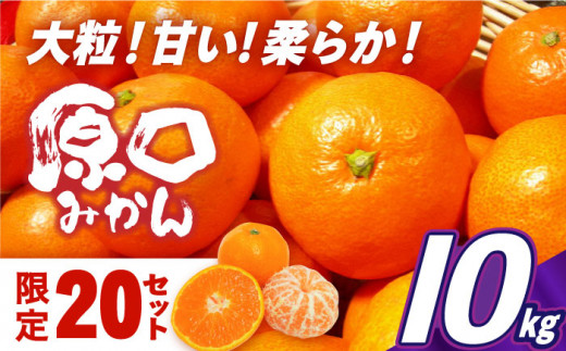 【数量限定】原口みかん 10kg 長崎県/長崎ダイヤモンドスタッフ [42AABL002] みかん 10kg 限定 甘い 長崎