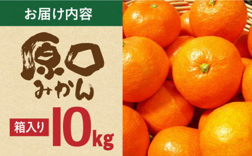 【数量限定】原口みかん 10kg 長崎県/長崎ダイヤモンドスタッフ [42AABL002] みかん 10kg 限定 甘い 長崎