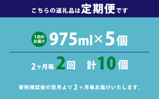 【2ヶ月毎2回定期便】 マウスウォッシュ メイクアニューハビット クリアアイスミント  975ml×5個 セット