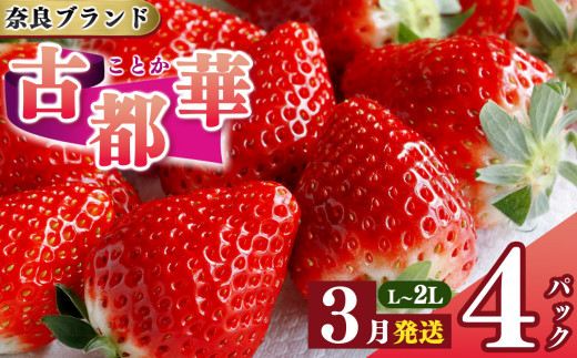 先行予約 いちご 平群の古都華 L～2Lサイズ 計4パック  3月発送 古都華 阪野農園 | 果物 くだもの フルーツ 苺 イチゴ いちご ストロベリー 古都華 ことか 旬の品種 奈良県 平群町