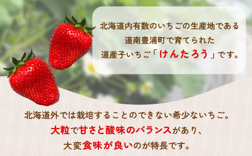 いちご「けんたろう」2トレーセット 【ふるさと納税 人気 おすすめ ランキング 果物 いちご苺 イチゴ 国産いちご 国産苺 けんたろう セット おいしい 美味しい 北海道 豊浦町 送料無料】 TYUF003