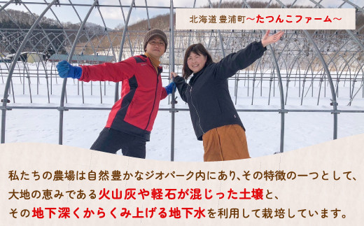 いちご「けんたろう」2トレーセット 【ふるさと納税 人気 おすすめ ランキング 果物 いちご苺 イチゴ 国産いちご 国産苺 けんたろう セット おいしい 美味しい 北海道 豊浦町 送料無料】 TYUF003