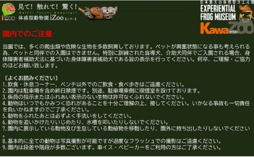 イズー カワズー 年間パスポート（大人1名） 共通入園券 爬虫類 動物園 河津町 観光[№5227-0391]