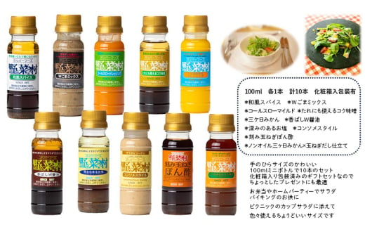 野菜村ドレッシング ミニボトル10本 ギフトセット 各100ml 計10本 セット 化粧箱入 包装有 静岡 浜松市[№5360-0209]