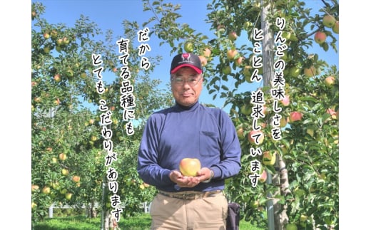 りんご 青森 ぐんま名月 リンゴ 約 5kg (12～16玉) 青森県 鰺ヶ沢町産 ヒバリノ園 フルーツ 果物 果物類 白神山地 林檎 2024 ※オンライン決済のみ