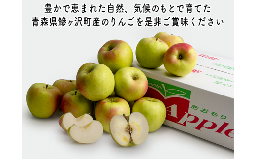 りんご 青森 ぐんま名月 リンゴ 約 5kg (12～16玉) 青森県 鰺ヶ沢町産 ヒバリノ園 フルーツ 果物 果物類 白神山地 林檎 2024 ※オンライン決済のみ