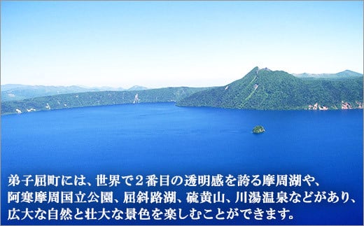 1950. 無地熨斗 しいたけ 特A 秀品 4パック 計1kg 摩周美人 シイタケ 椎茸 生しいたけ きのこ キノコ 菌床栽培 肉厚 熨斗 のし 名入れ不可 送料無料 北海道 弟子屈町 12000円