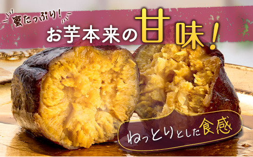 特製焼き芋！熟成蜜芋「紅はるか」計1kg 国産 新富町産 さつまいも ねっとり焼芋 イモ【A309】