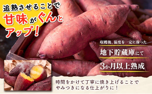 特製焼き芋！熟成蜜芋「紅はるか」計1kg 国産 新富町産 さつまいも ねっとり焼芋 イモ【A309】