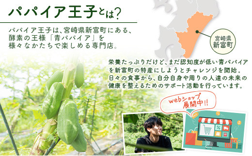 特製焼き芋！熟成蜜芋「紅はるか」計1kg 国産 新富町産 さつまいも ねっとり焼芋 イモ【A309】