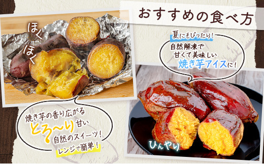 特製焼き芋！熟成蜜芋「紅はるか」計1kg 国産 新富町産 さつまいも ねっとり焼芋 イモ【A309】