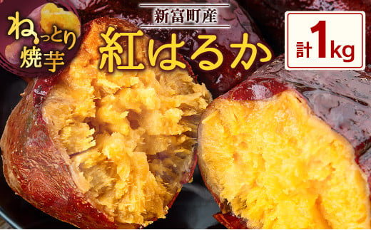 特製焼き芋！熟成蜜芋「紅はるか」計1kg 国産 新富町産 さつまいも ねっとり焼芋 イモ【A309】