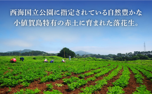 【幻の落花生】おぢか島の落花生（さや付き）100g × 80袋 《小値賀町担い手公社》 [DAA035] 落花生 ピーナッツ おつまみ 常温