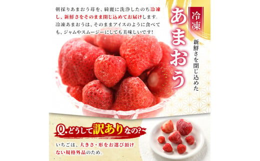 ＜訳あり・規格外＞博多和牛しゃぶしゃぶすき焼き用(500g)&冷凍あまおう(800g)セット 牛肉 黒毛和牛 国産 すき焼き しゃぶしゃぶ 苺 いちご イチゴ ヨーグルト アイス シャーベット ジャム スムージー ＜離島配送不可＞【ksg0541】【MEATPLUS】