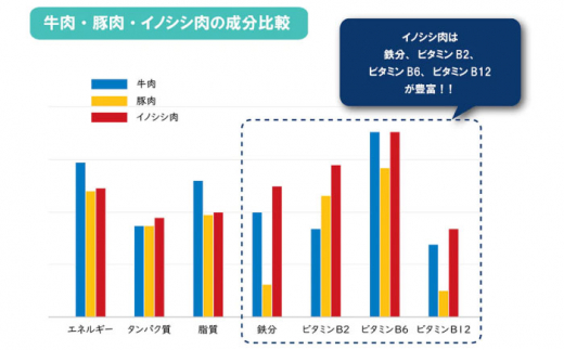 猪肉バラエティセット（モモ/バラスライス400g・ハンバーグ750g詰め合わせ）長崎県波佐見産 イノシシ【モッコ】 [CE11]