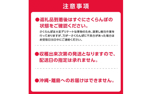 2025年発送【先行予約】令和7年産 佐藤錦【Lサイズ】500g×2【ニトリ観光果樹園】さくらんぼの王様 余市 北海道 フルーツ王国 さくらんぼ サクランボ 桜桃 佐藤錦 余市産さくらんぼ 人気さくらんぼ ニトリ