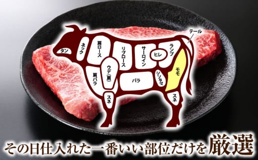 【年内配送】【A4～A5】長崎和牛モモステーキ　約500g（100g×5p）【株式会社 MEAT PLUS】 [QBS025]