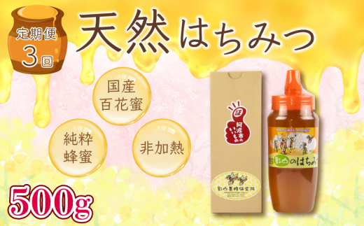 【 先行予約 】 《定期便3回》 はちみつ チューブ 500g 蜂蜜 非加熱 国産 百花蜜 百花蜂蜜 純粋 プレゼント 贈答用 徳島県 阿波市 影山養蜂研究所【 無添加 百花蜂蜜 百花はちみつ 純粋はちみつ 生はちみつ 天然はちみつ 天然蜂蜜 蜂蜜 はちみつ ハニー】